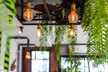 Turuncu yeşil çim çevrili ampul.