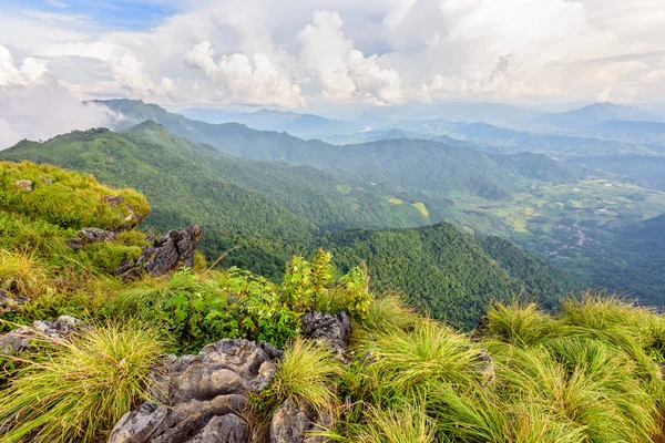 Vackra landskapet på Phu Chi Fa Forest Park — Stockfoto