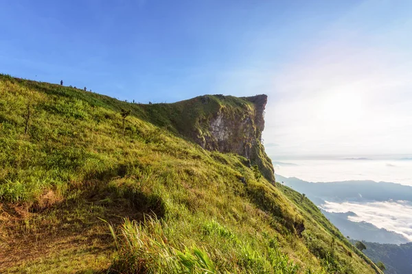 Sabah Phu Chi Fa Forest Park, Tayland