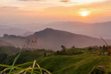 Sunset bulvarında Phu Chi Fa Forest Park