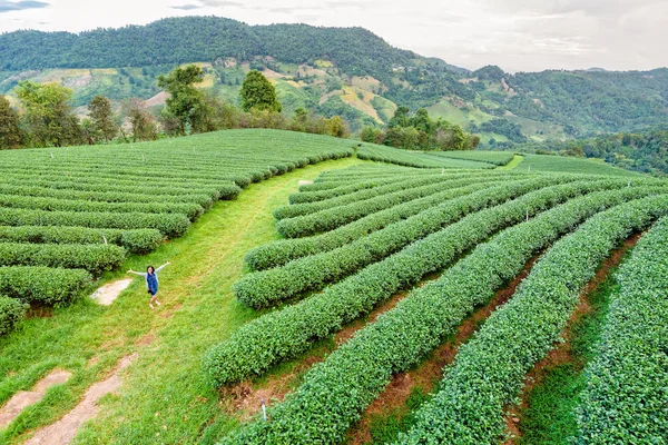 Turistické ženy na zelený čaj plantáž — Stock fotografie