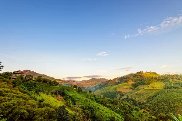 Doi Mae Salong sabah