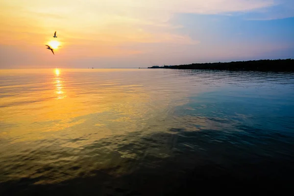 美丽的落日两只小鸟在海面上飞翔 — 图库照片