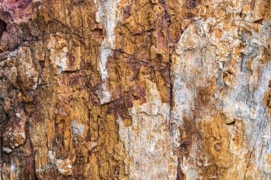 Sert ve çatlak doku taş yüzeyi