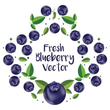 Yaban mersini meyve vektör desen