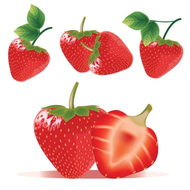 Çilek vektör yaprak ile