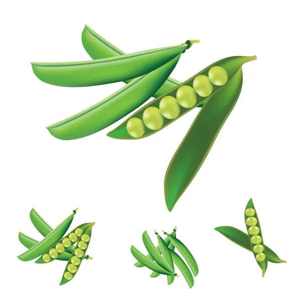 Guisantes Vector Vegetal Aislado — Vector de stock