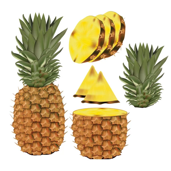 Ananas Vecteur Avec Tranche — Image vectorielle