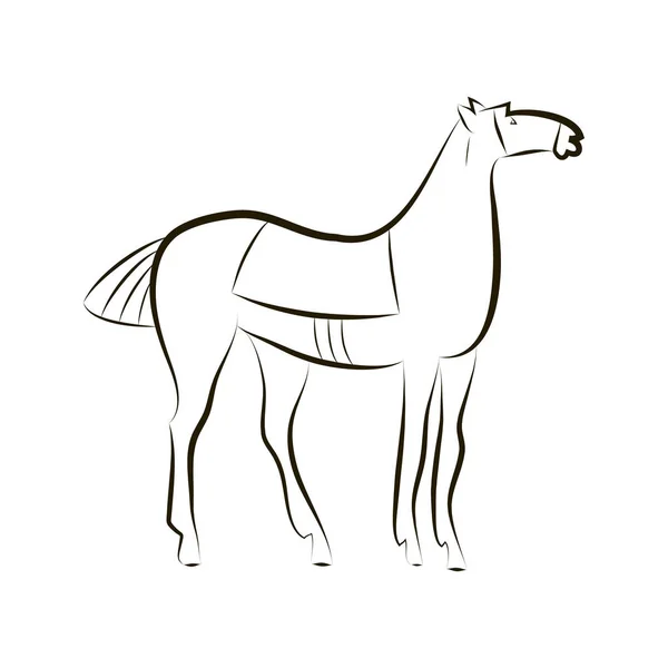 Esquema vectorial blanco y negro de un caballo de pie — Vector de stock