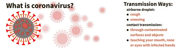 Banner What is coronavirus and transmission ways — 스톡 벡터