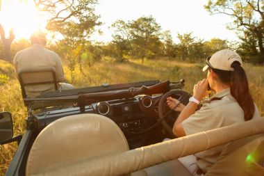 Safari kılavuz ve izci bir 4 x 4 Safari araç Güney Afrikalı bir oyun yedek 
