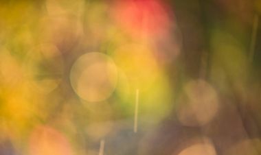 Yağmur çizgileri ile canlı bahar temalı bokeh Aydınlatma etkisi