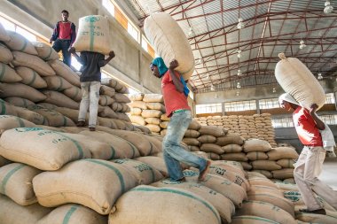 Addis Ababa, Etiyopya, 01/30/2014 işçi çiğ kahve çekirdekleri, büyük Çantalar dolusu kahve çekirdekleri bir depoda istifleme erkekler büyük çuval taşıma
