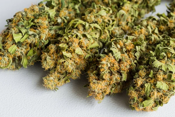 Macro Primo Piano Una Pianta Cannabis Medical Marijuana Essiccata Con — Foto Stock