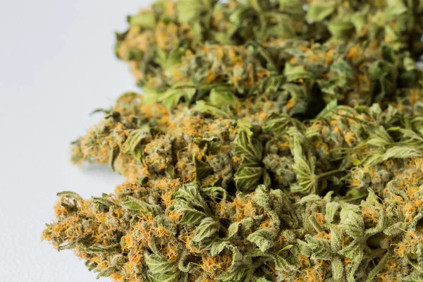 Makro Zblízka Sušené Rostliny Konopí Lékařské Marihuany Zaměřením Pryskyřičné Květ — Stock fotografie