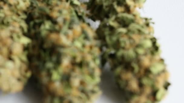 Fila Seca Maconha Medicinal Cannabis Panned Direita Para Esquerda Com — Vídeo de Stock