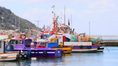 Cape Town, Güney Afrika - 29 Ekim 2019: Kalk Körfezi Limanı 'nda balıkçı tekneleri güvenli bir şekilde bağlandı