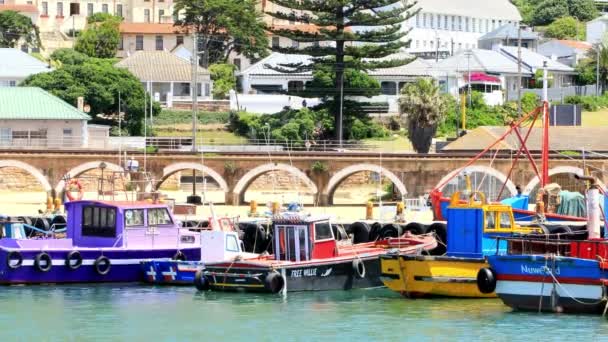 Ciudad Del Cabo Sudáfrica Octubre 2019 Barcos Pesca Atados Con — Vídeos de Stock