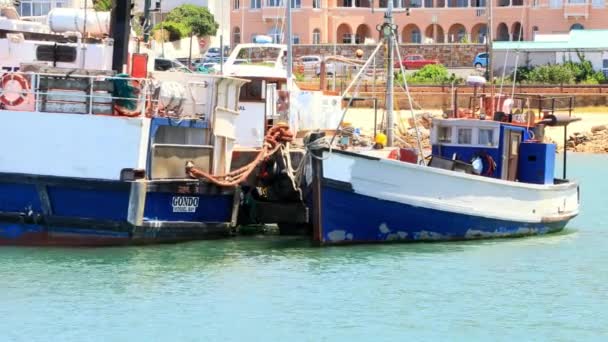 Kapstadt Südafrika Oktober 2019 Fischerboote Sicher Hafen Von Kalk Bay — Stockvideo