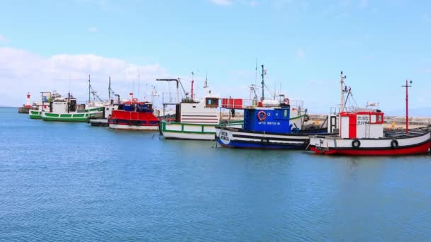 Fiskebåtar Bundna Mot Väggen Kalk Bay Harbour Kapstaden — Stockvideo