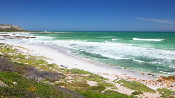 Golven Crashen Tegen Kustrotsen Bij Misty Cliffs Cape Town — Stockvideo