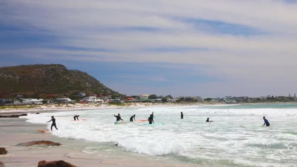 Cape Town South Africa November 2019 Young Tourists Learning Surfboard — Stock Video