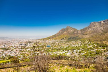 Cape Town Güney Afrika Merkez Ticaret Bölgesi 'nin yüksek görünümü