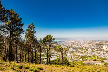 Cape Town Liman ve Central Business Dist 'in yüksek görünümü