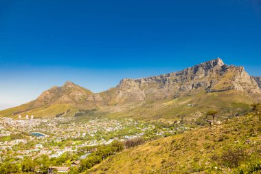 Cape Town 'daki Sinyal Tepesi' nden Masa Dağı 'nın geniş açılı görüntüsü
