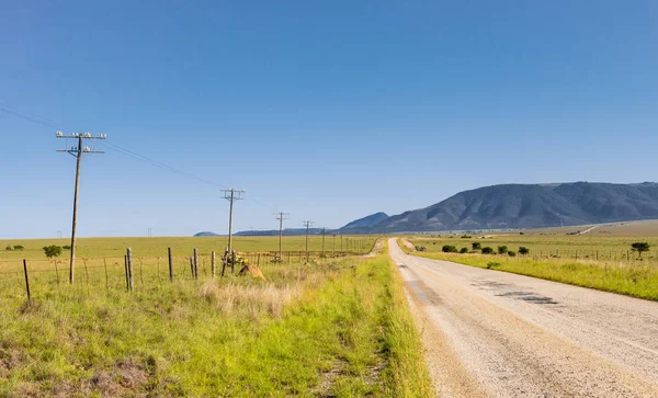 Vista de una carretera rural vacía —  Fotos de Stock