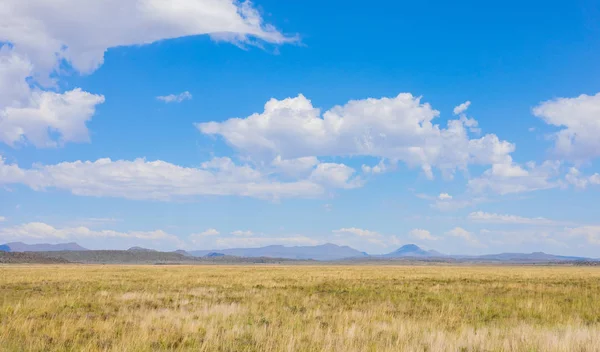 Área de agricultura de pastizales del semidesértico Karoo en Sudáfrica — Foto de Stock