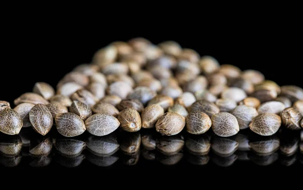 Macro Close-up Focus of Cannabis Marijuana Seeds sobre un fondo negro reflectante —  Fotos de Stock