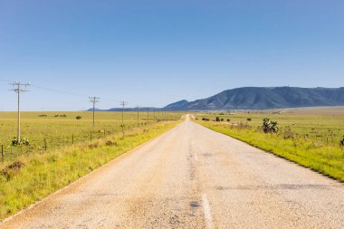 Güney Afrika Çiftlik Bölgesi 'nde boş bir karayolu manzarası