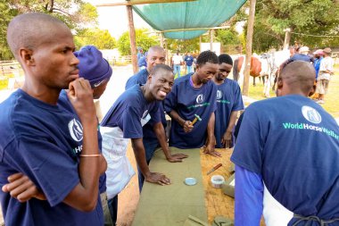 Soweto, Güney Afrika - 16 Nisan 2012: Çiftlikte at nalı tamir araçları üzerinde çalışan Farriers