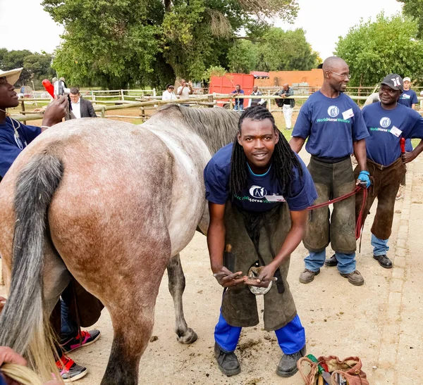 Soweto South Africa April 2012 Farrier Performing Maintenance Old Horseshoe — Stock Photo, Image