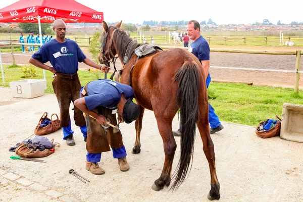 Soweto Sudáfrica Abril 2012 Farrier Realiza Mantenimiento Herradura Vieja Para —  Fotos de Stock