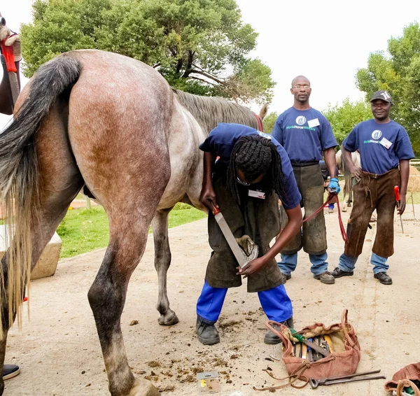 Soweto South Africa April 2012 Farrier Performing Maintenance Old Horseshoe — Stock Photo, Image