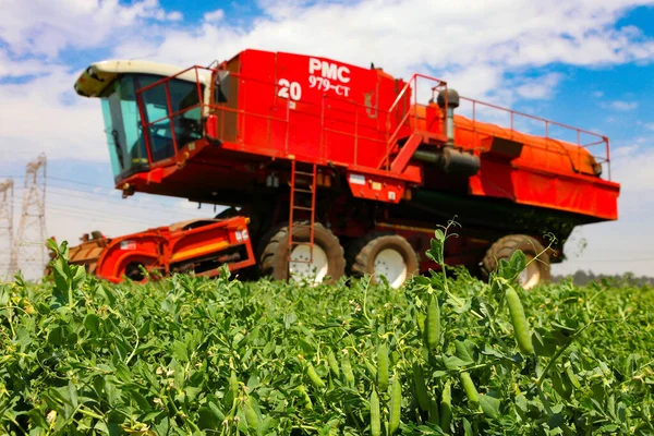 Johannesburg South Africa Жовтня 2010 Комерційне Pea Farming Combine Harvester — стокове фото