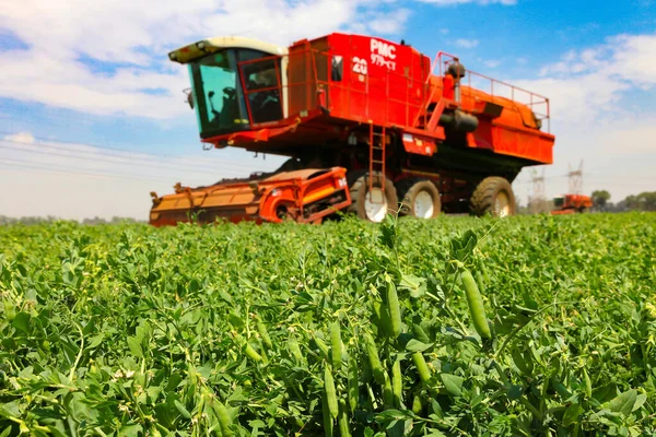 Johannesburg South Africa Жовтня 2010 Комерційне Pea Farming Combine Harvester — стокове фото