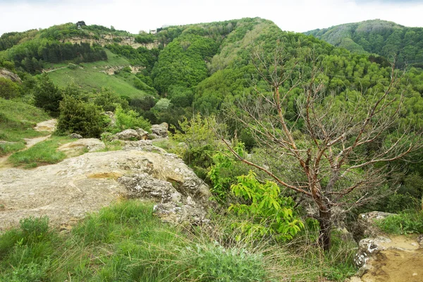 Pleasant hilly landscape — Stock Photo, Image