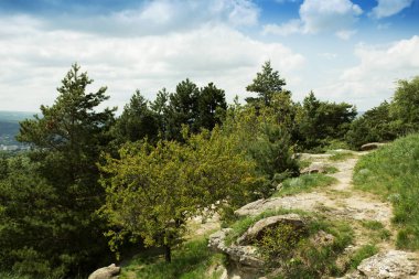 güzel dağ manzarası