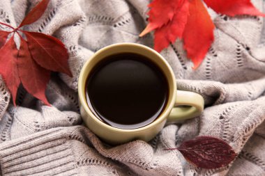 Kahve, kırmızı sonbahar yaprakları ve gri örülmüş süveter.