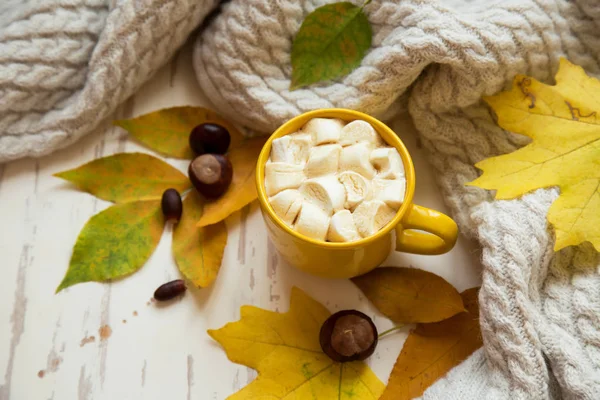 Coffee Marshmallows Yellow Autumn Leaves White Background — Stock Photo, Image