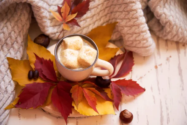 Koffie Met Marshmallows Kleurrijke Herfstbladeren — Stockfoto