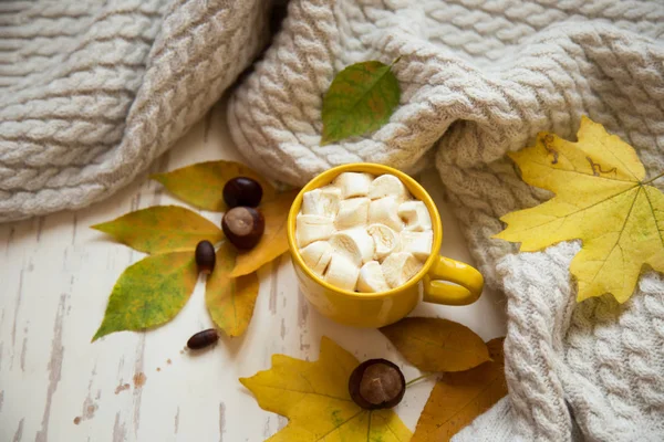 Café Com Marshmallows Folhas Outono Bonito — Fotografia de Stock