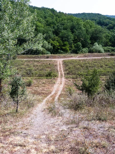 Silnice před Les — Stock fotografie