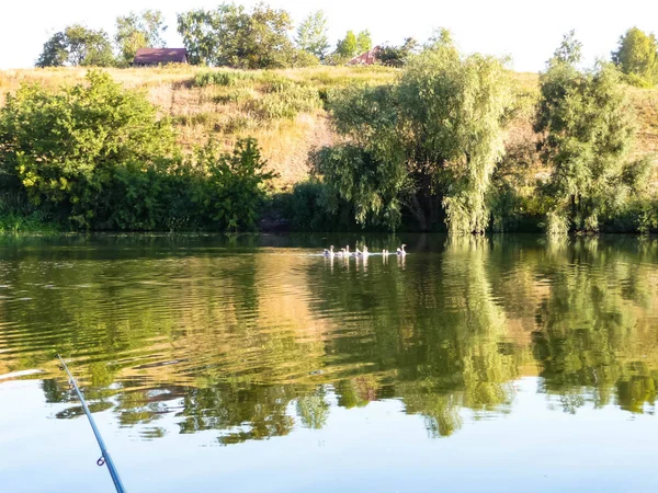 Rybaření na břehu rybníka s rybářské pruty — Stock fotografie