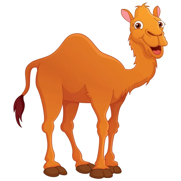 Vektor illustration av tecknad kamel — Stock vektor