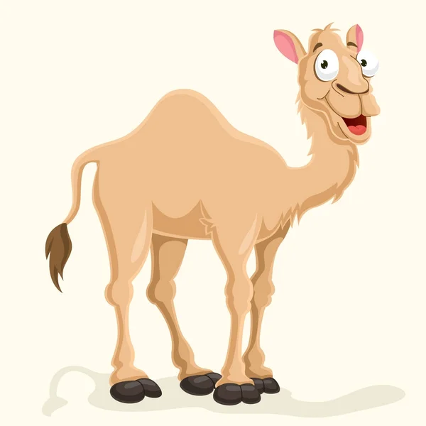 Illustrazione del vettore del cammello — Vettoriale Stock