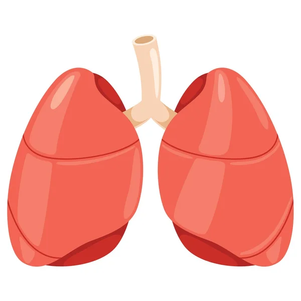 Illustrazione vettoriale dei polmoni — Vettoriale Stock